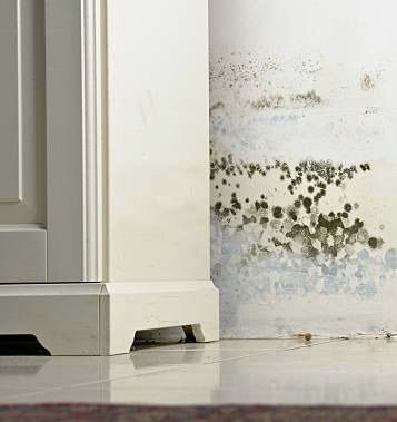 Mold or Mould Stains on Damp Wall and Door behind Cabinet due to condensation caused by lack of ventilation.